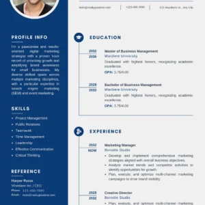 CV Template 2